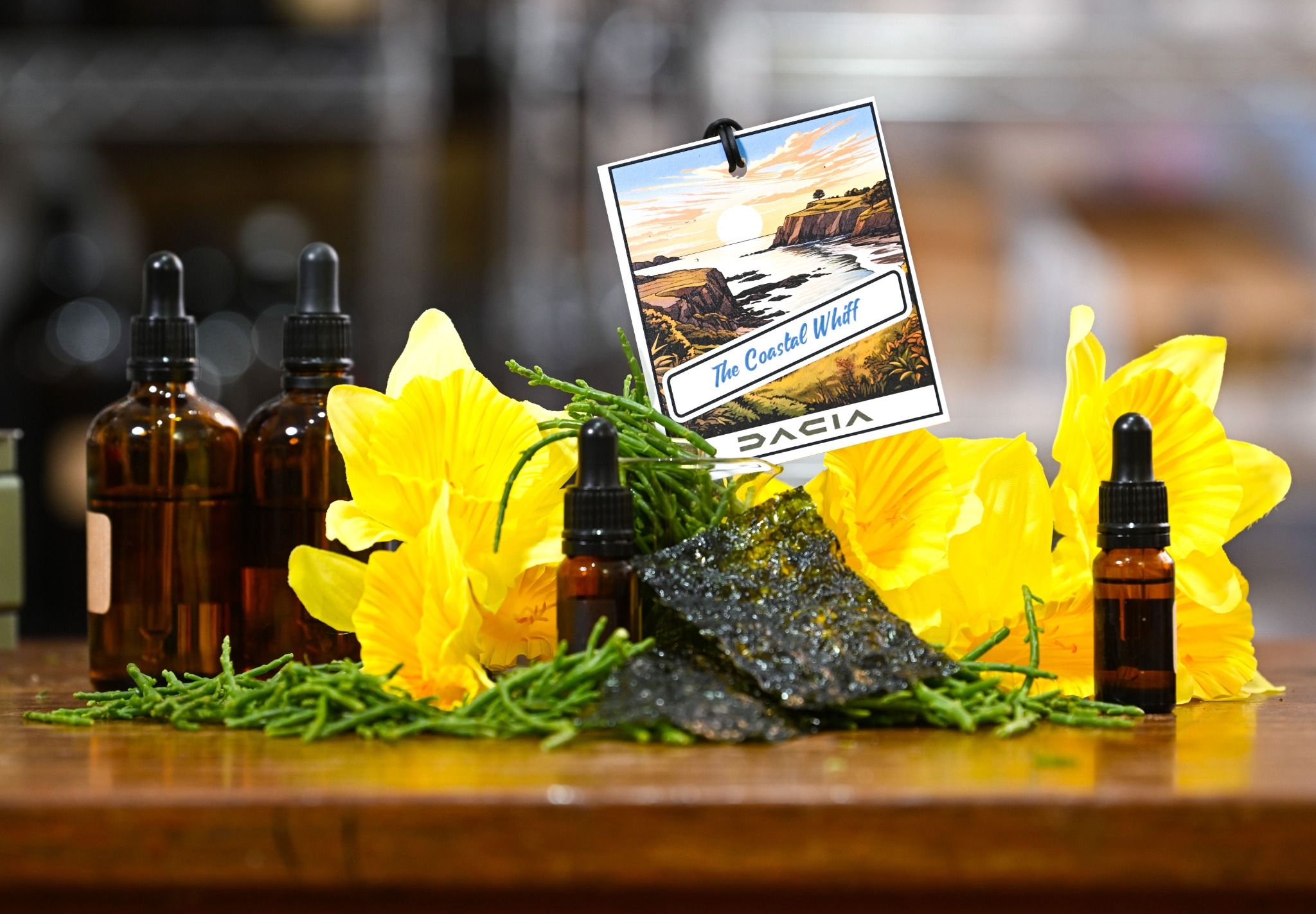 Dacia sir freshener: The Coastal Whiff displayed with daffodils, samphire, nori and bottles of essential oil