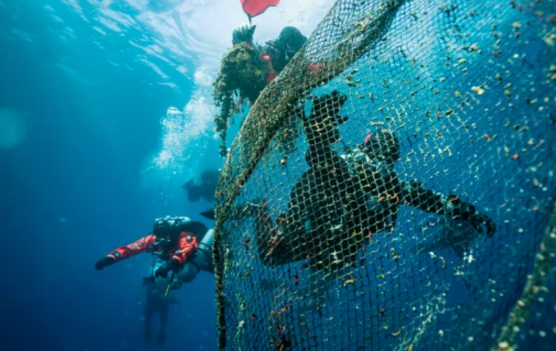Hyundai Conservation: Deep Sea Divers inspecting abandoned fishing nets