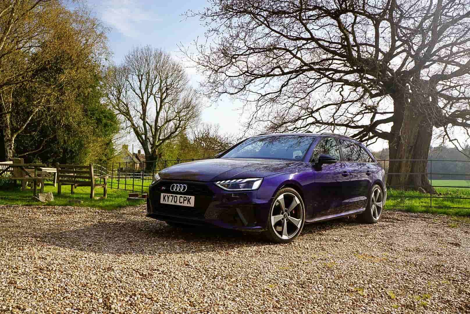 Purple audi s4 parked in forest