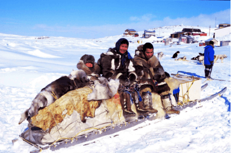 Eskimos on a sled with animal skins on the front